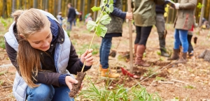 Mädchen pflanzt Baum