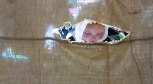 Sunshine Comes First