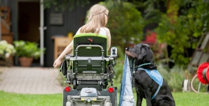 Apporte Assistenzhunde für Menschen im Rollstuhl e.V.