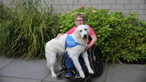 Apporte Assistenzhunde für Menschen im Rollstuhl e.V.
