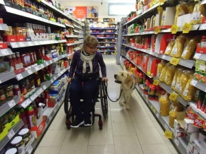 Apporte Assistenzhunde für Menschen im Rollstuhl e.V.