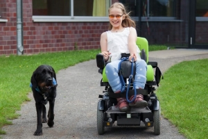 Apporte Assistenzhunde für Menschen im Rollstuhl e.V.